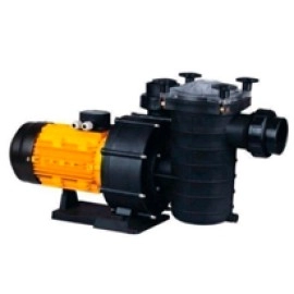 Насосы для бассейнов (13)